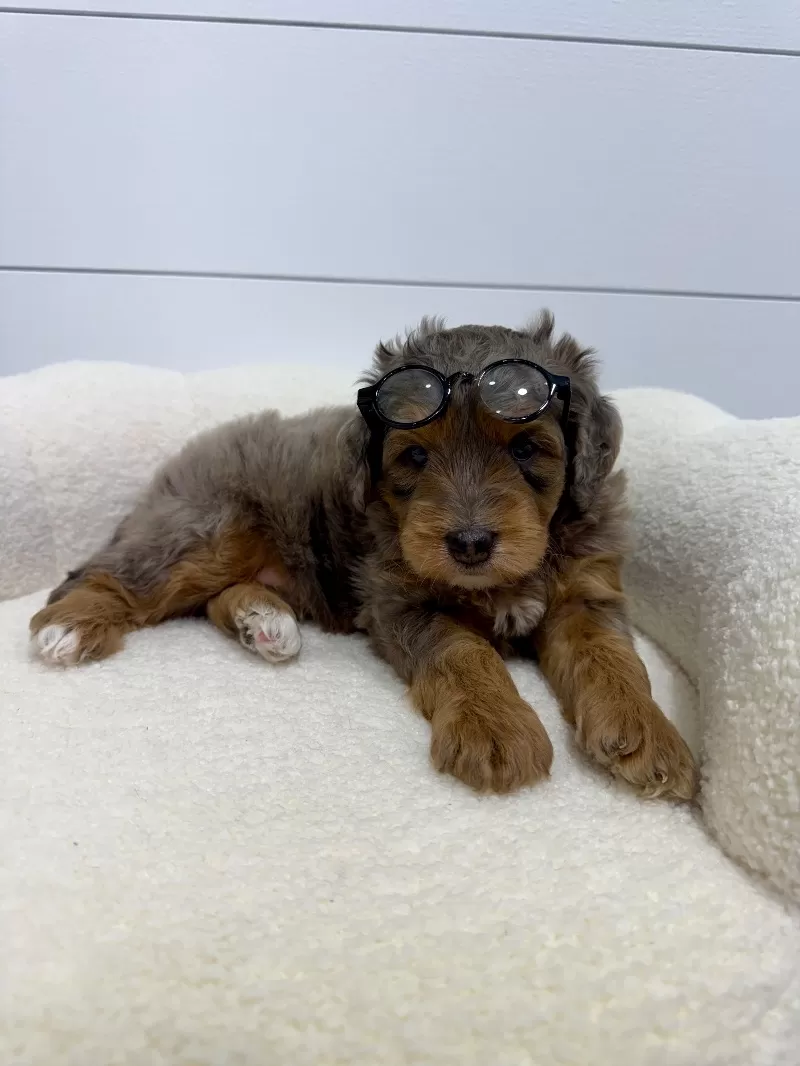 Cash 🧸😍