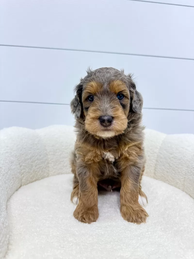 Cash 🧸😍