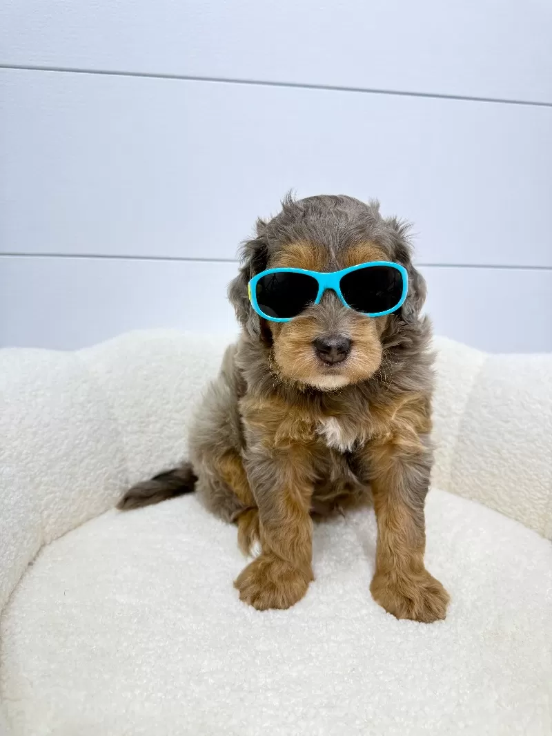 Cash 🧸😍