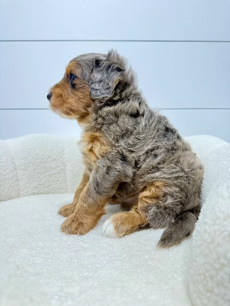 Cash 🧸😍