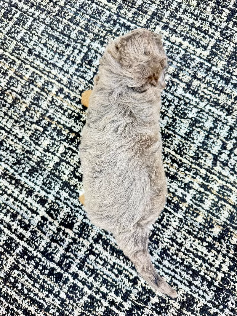Cash 🧸😍