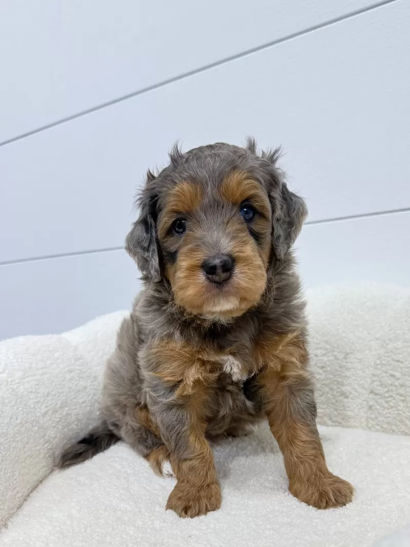 Cash 🧸😍