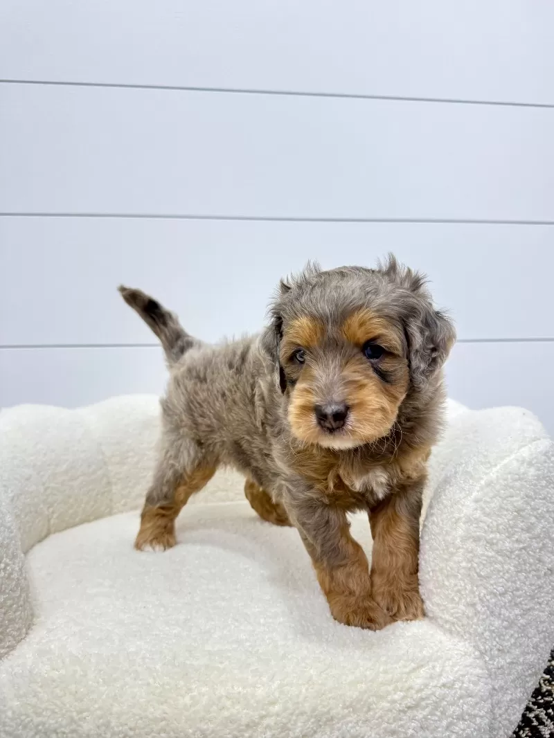 Cash 🧸😍