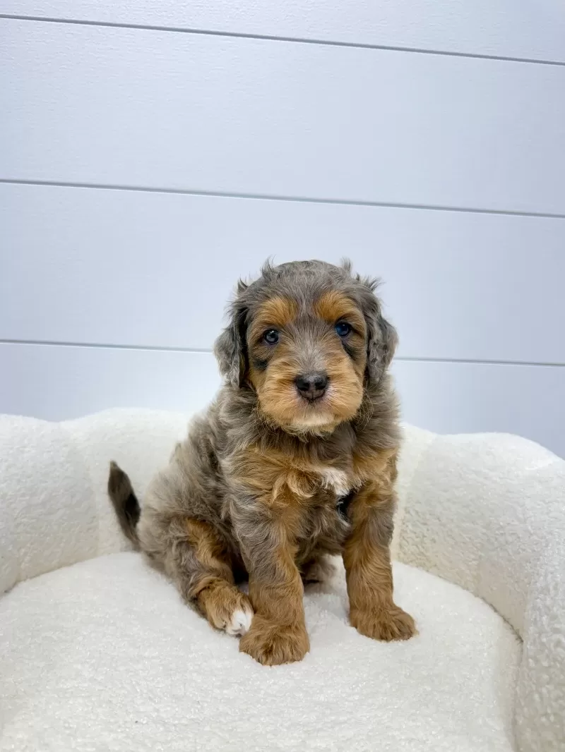 Cash 🧸😍