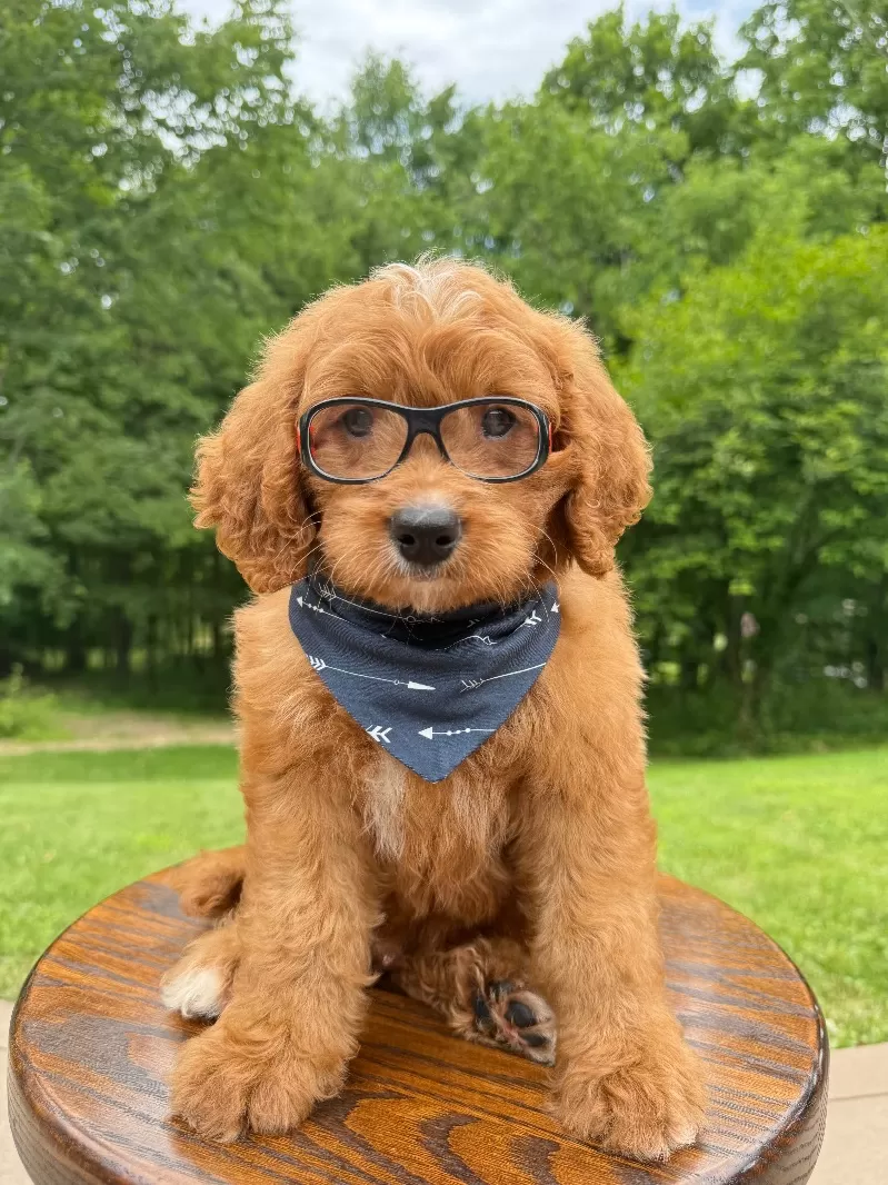 Duke ♥️😘