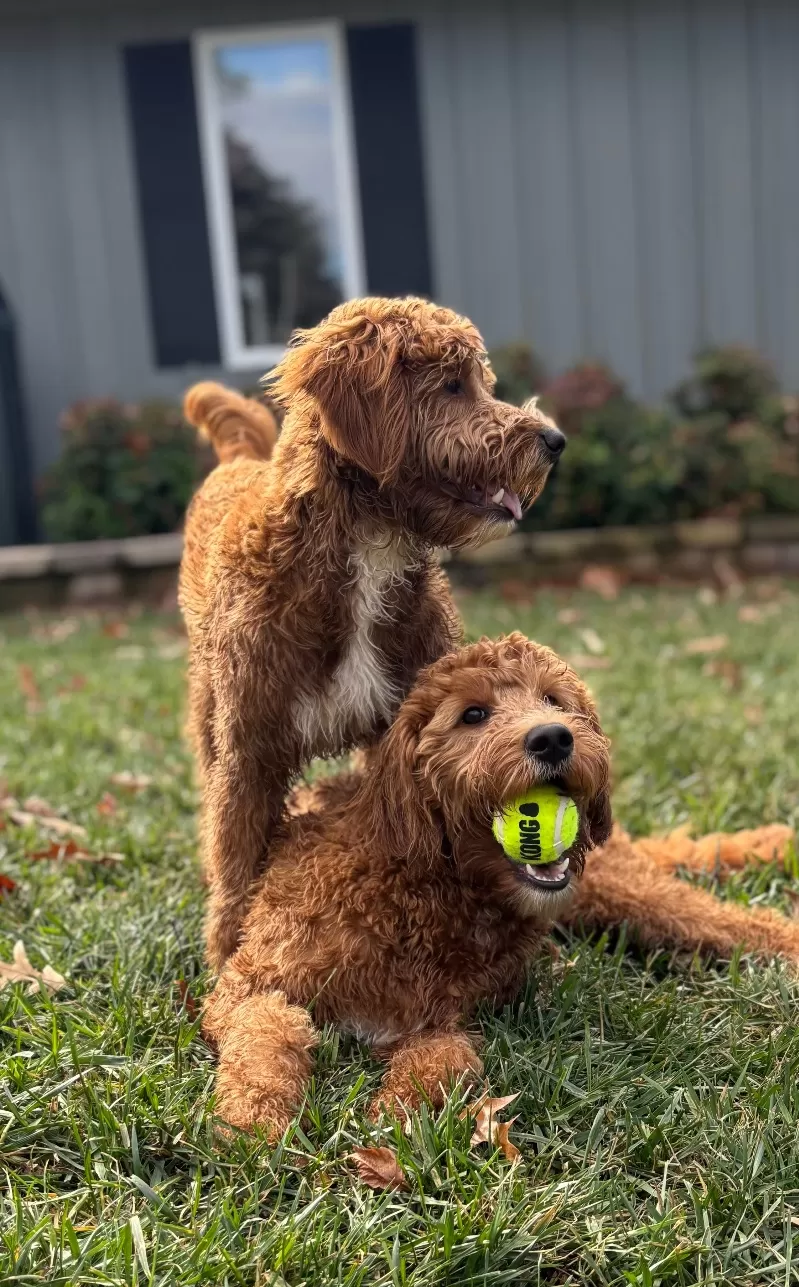 Gary & Mary Ann Schaffer